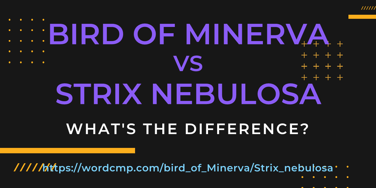 Difference between bird of Minerva and Strix nebulosa