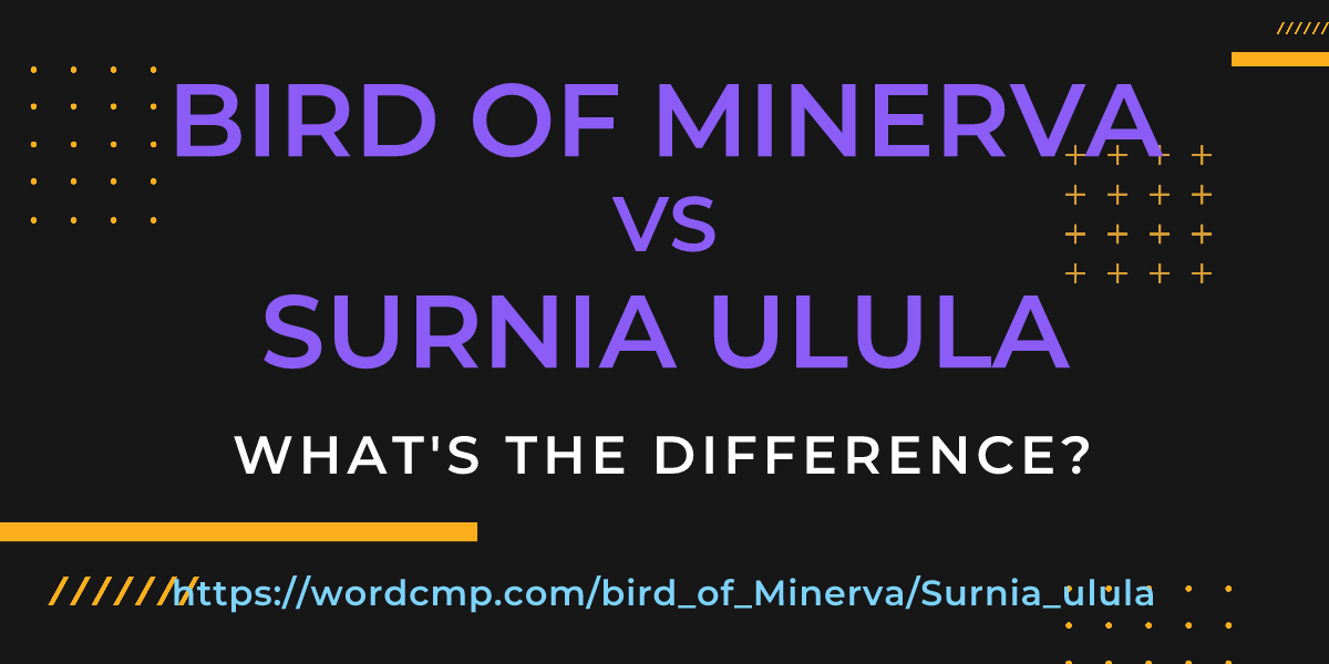 Difference between bird of Minerva and Surnia ulula