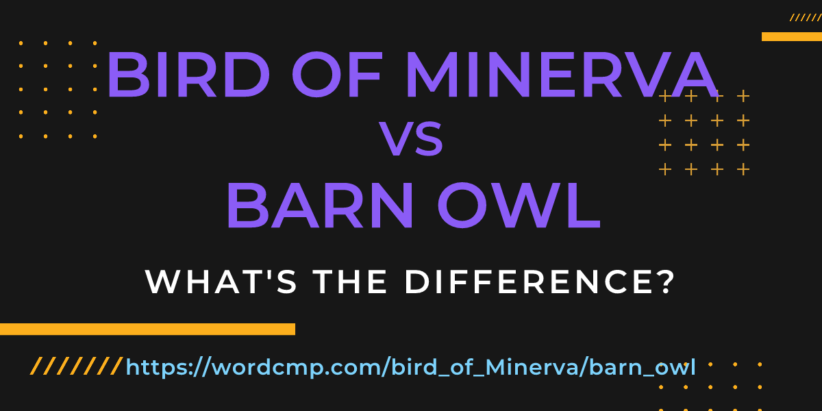 Difference between bird of Minerva and barn owl