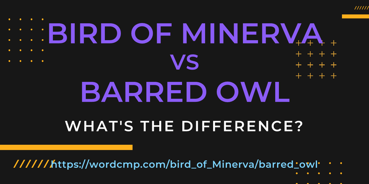 Difference between bird of Minerva and barred owl