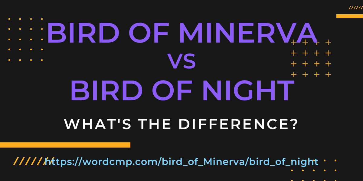 Difference between bird of Minerva and bird of night