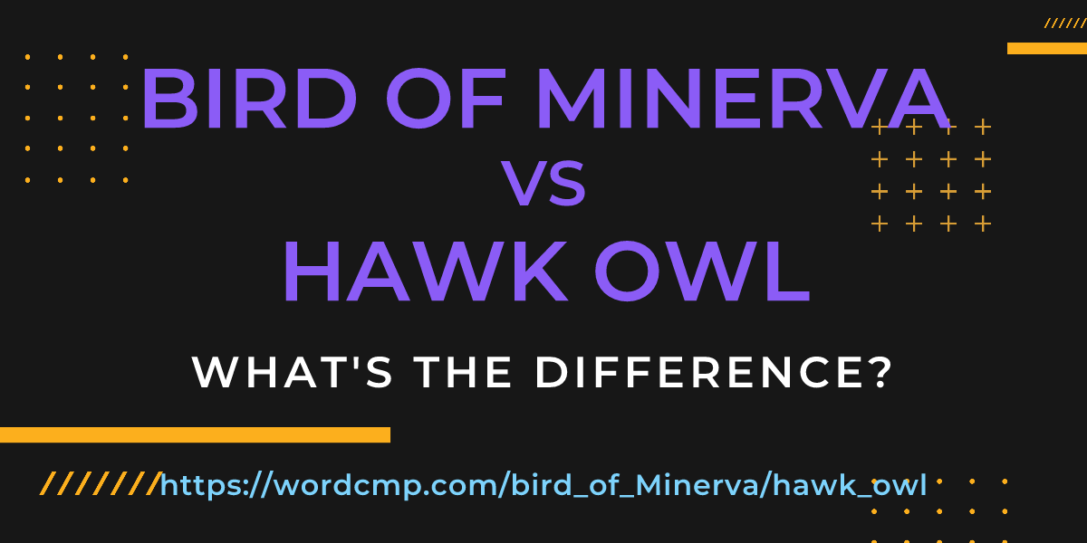 Difference between bird of Minerva and hawk owl