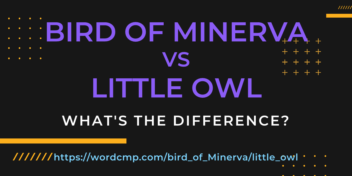 Difference between bird of Minerva and little owl