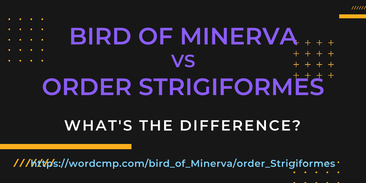 Difference between bird of Minerva and order Strigiformes
