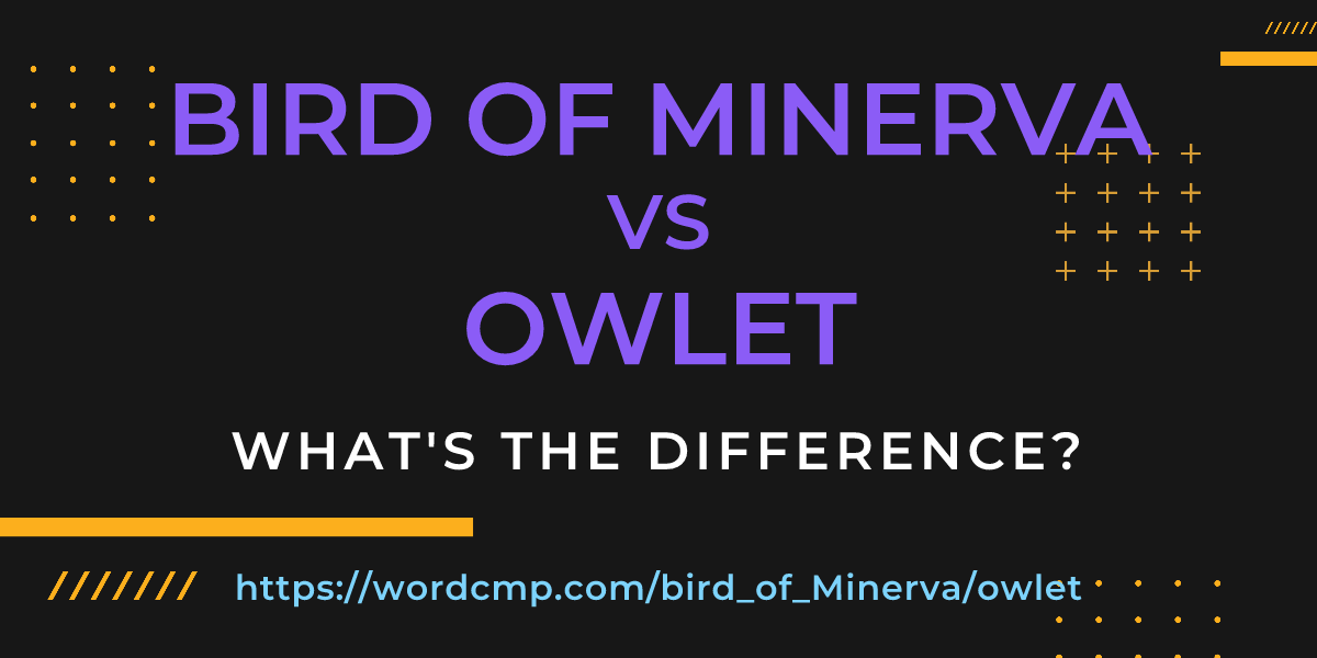 Difference between bird of Minerva and owlet