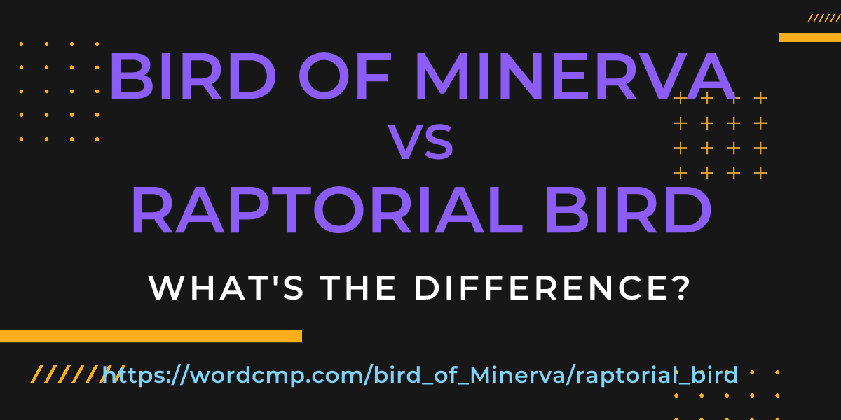 Difference between bird of Minerva and raptorial bird