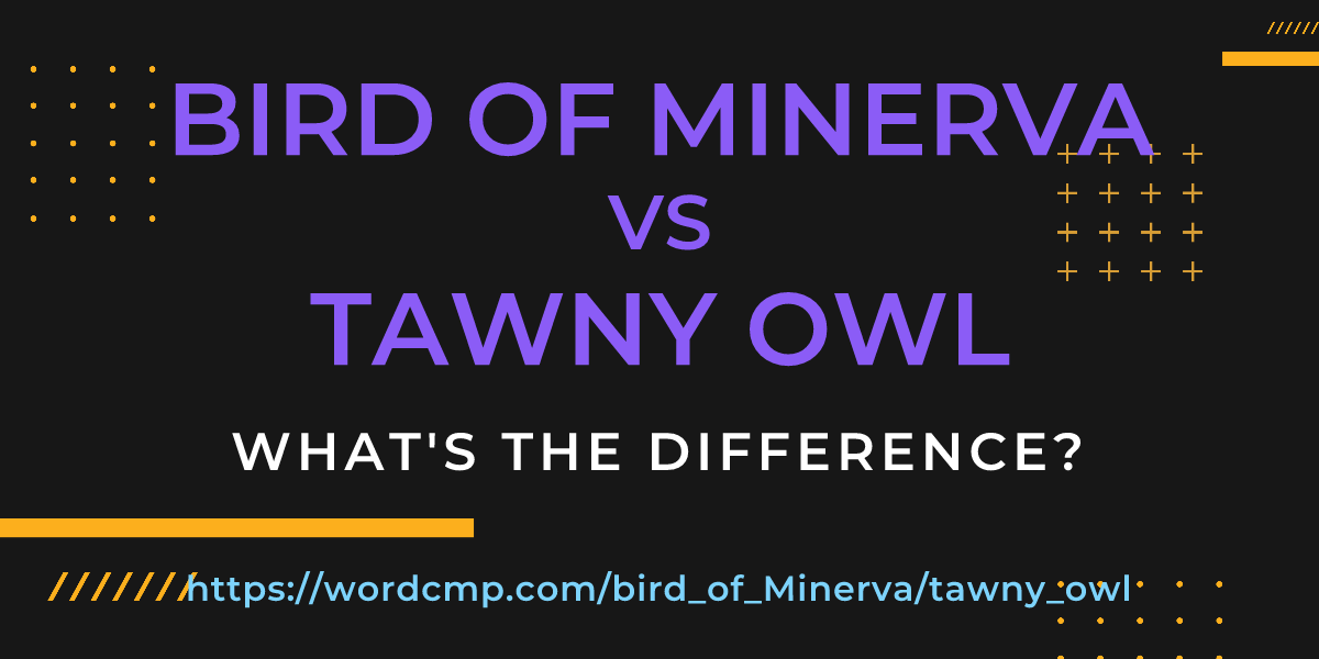 Difference between bird of Minerva and tawny owl