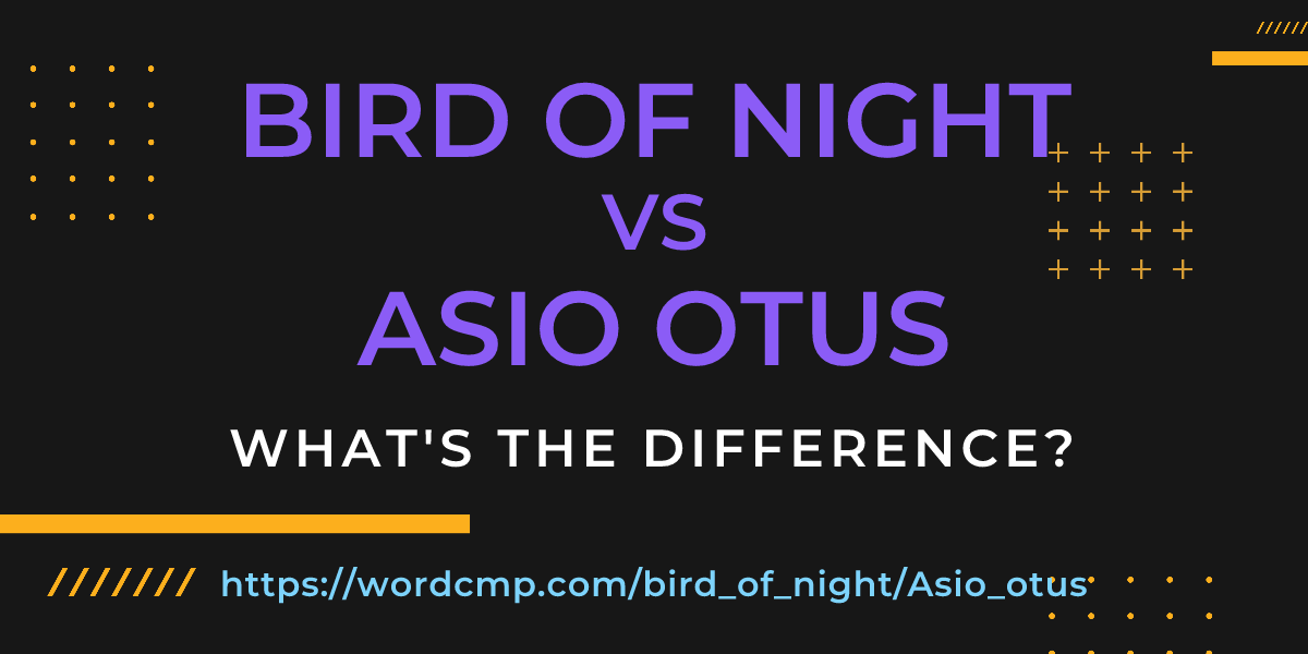 Difference between bird of night and Asio otus