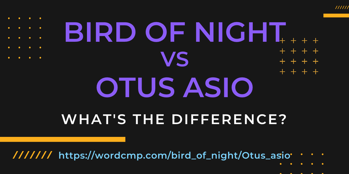 Difference between bird of night and Otus asio