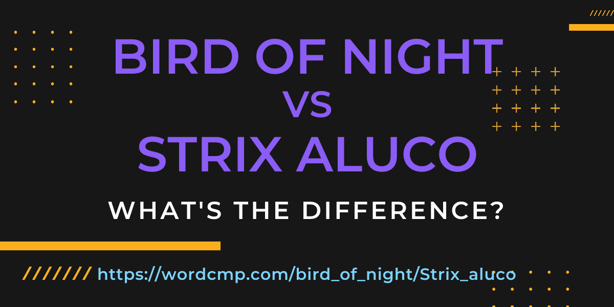 Difference between bird of night and Strix aluco