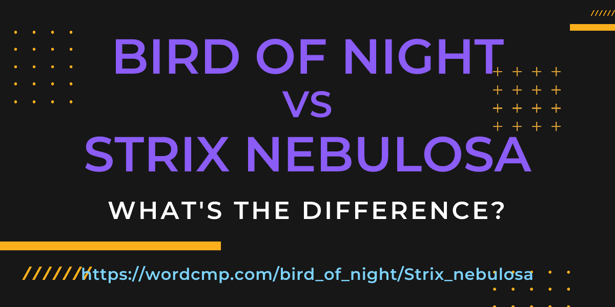 Difference between bird of night and Strix nebulosa