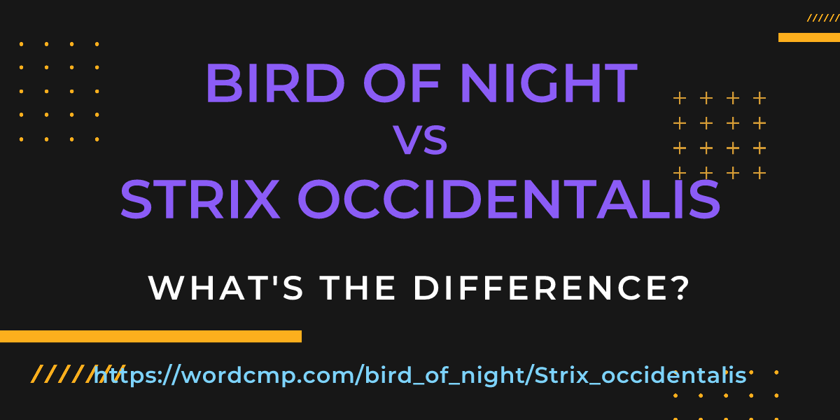 Difference between bird of night and Strix occidentalis