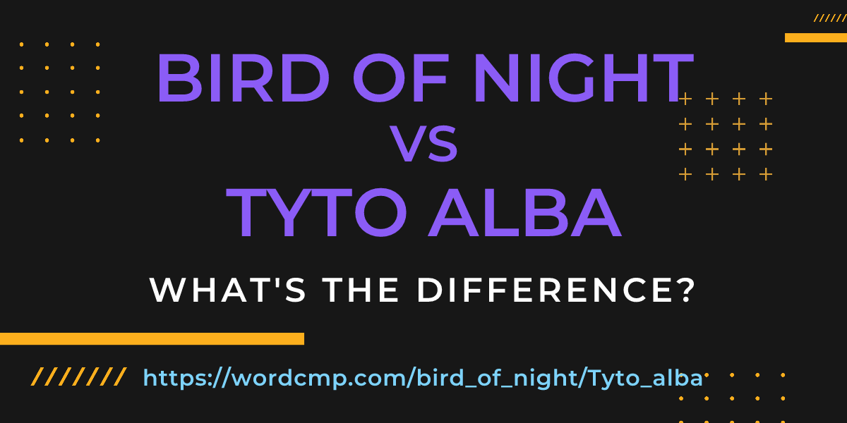 Difference between bird of night and Tyto alba