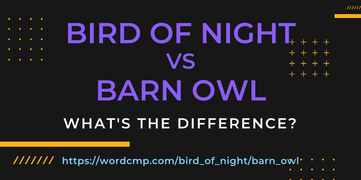 Difference between bird of night and barn owl
