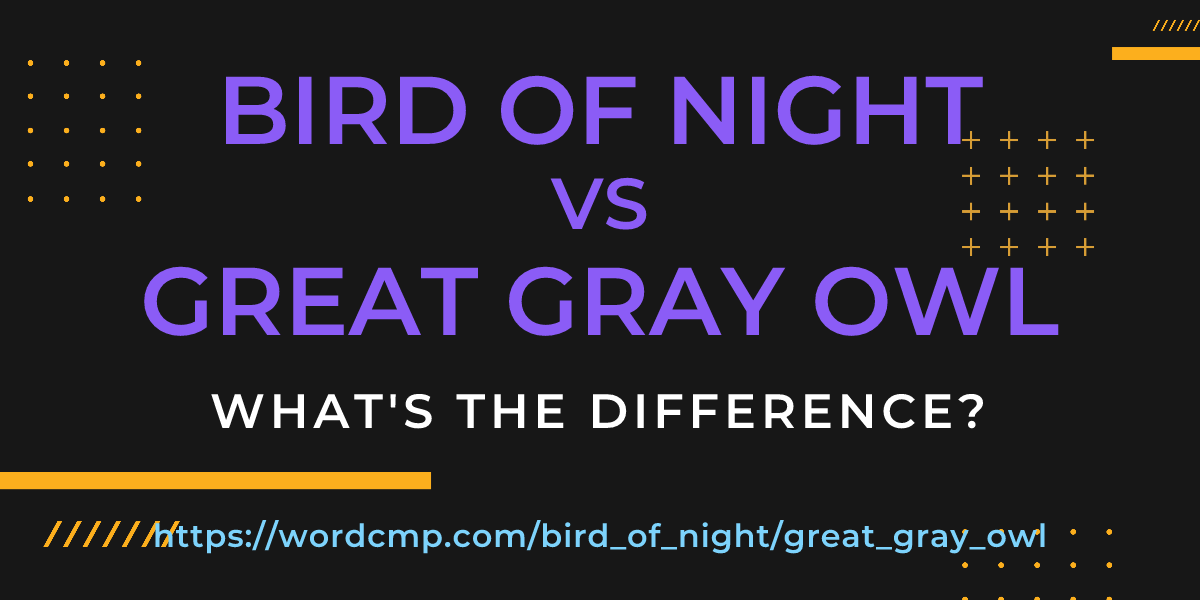 Difference between bird of night and great gray owl