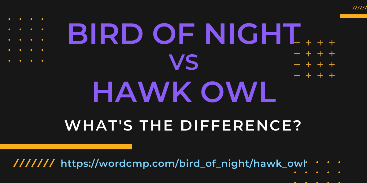 Difference between bird of night and hawk owl