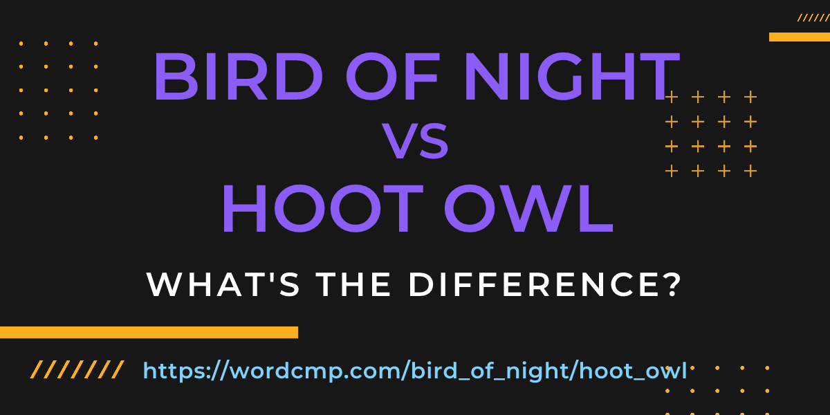 Difference between bird of night and hoot owl