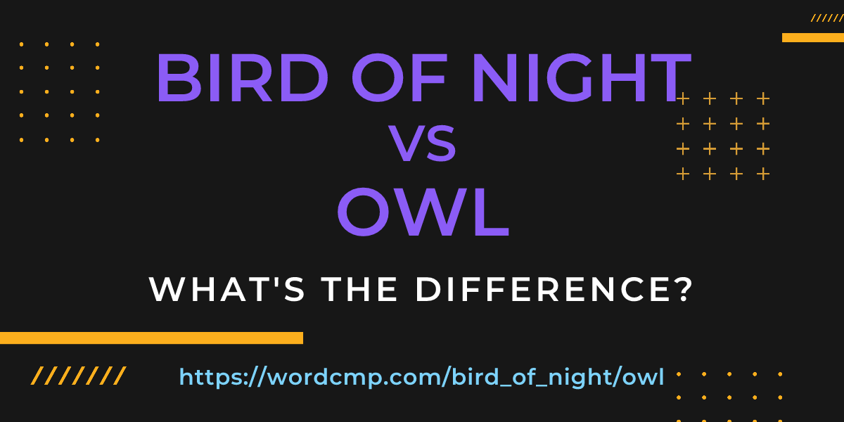 Difference between bird of night and owl