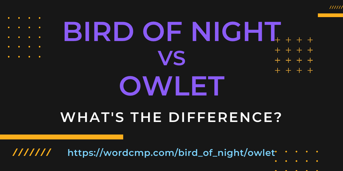 Difference between bird of night and owlet