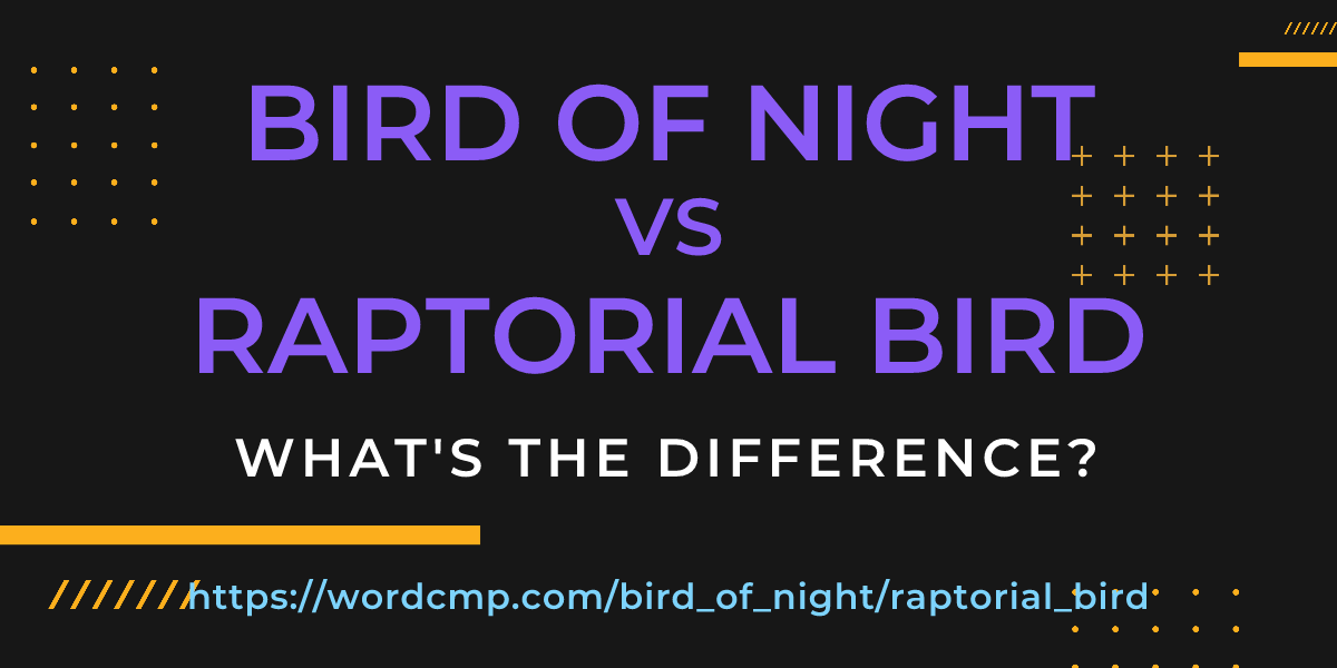 Difference between bird of night and raptorial bird