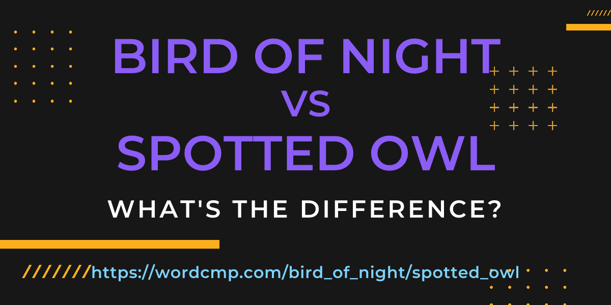 Difference between bird of night and spotted owl