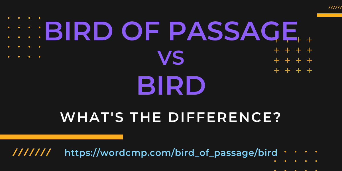 Difference between bird of passage and bird