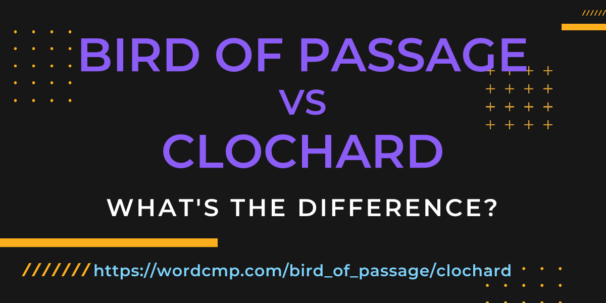 Difference between bird of passage and clochard