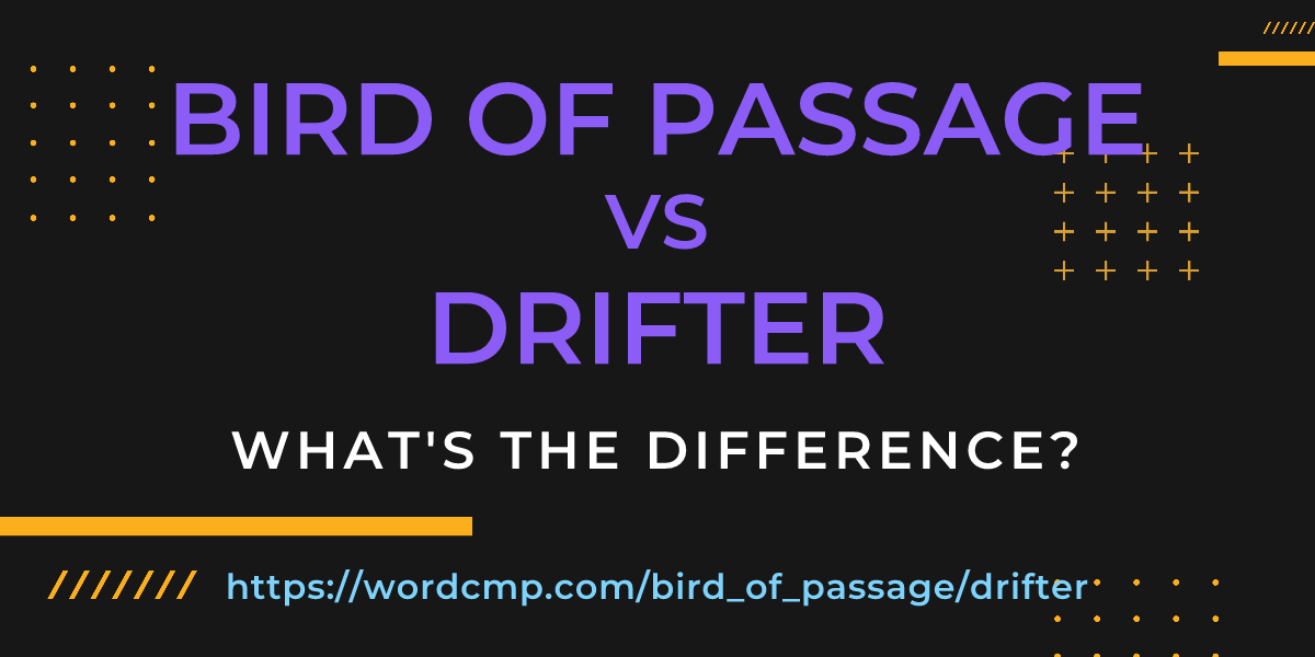 Difference between bird of passage and drifter