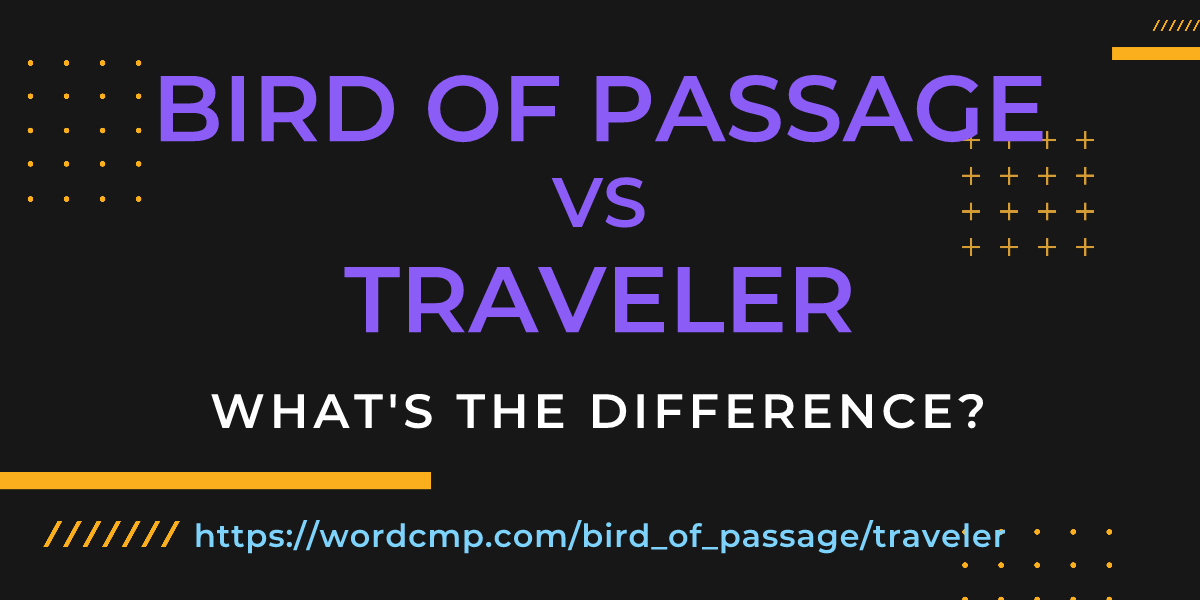 Difference between bird of passage and traveler