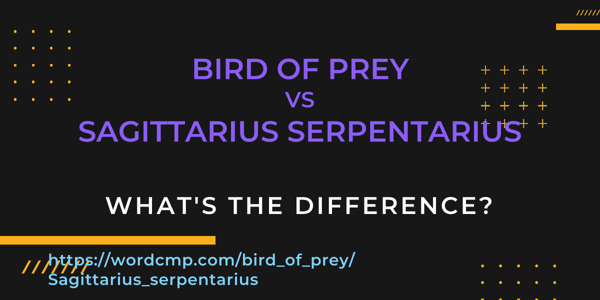 Difference between bird of prey and Sagittarius serpentarius