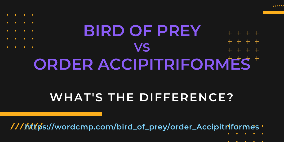 Difference between bird of prey and order Accipitriformes