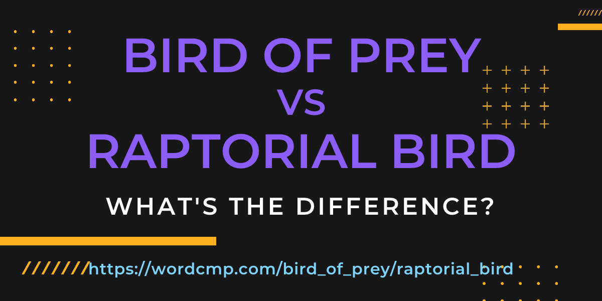 Difference between bird of prey and raptorial bird