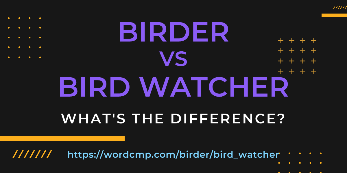 Difference between birder and bird watcher