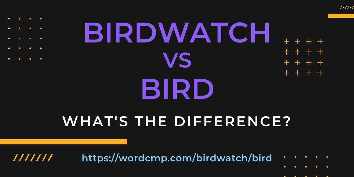 Difference between birdwatch and bird
