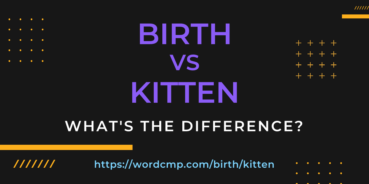 Difference between birth and kitten