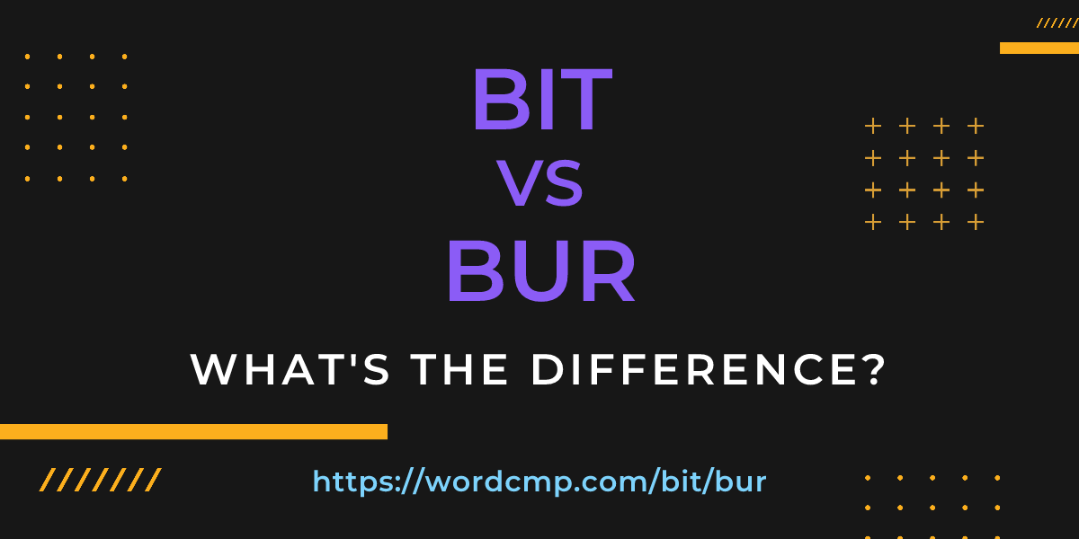 Difference between bit and bur