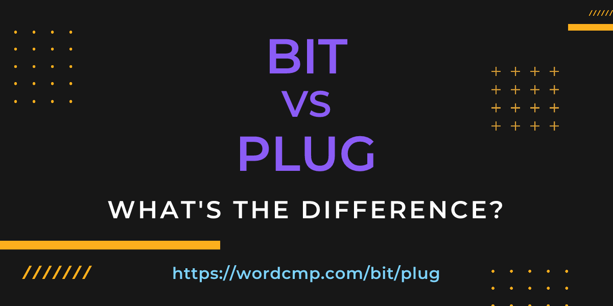 Difference between bit and plug