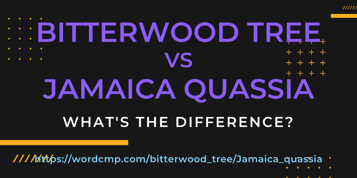 Difference between bitterwood tree and Jamaica quassia
