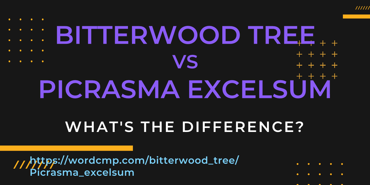 Difference between bitterwood tree and Picrasma excelsum