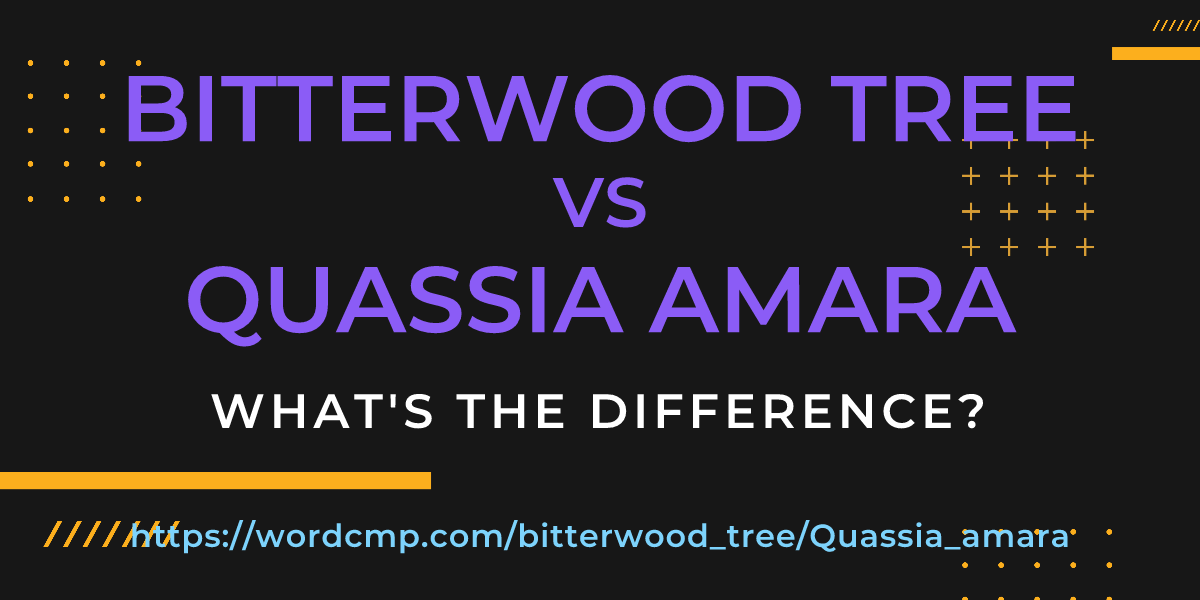 Difference between bitterwood tree and Quassia amara