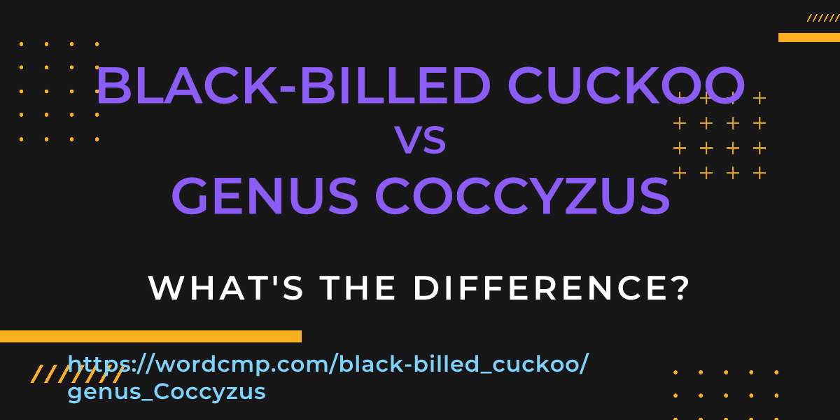 Difference between black-billed cuckoo and genus Coccyzus