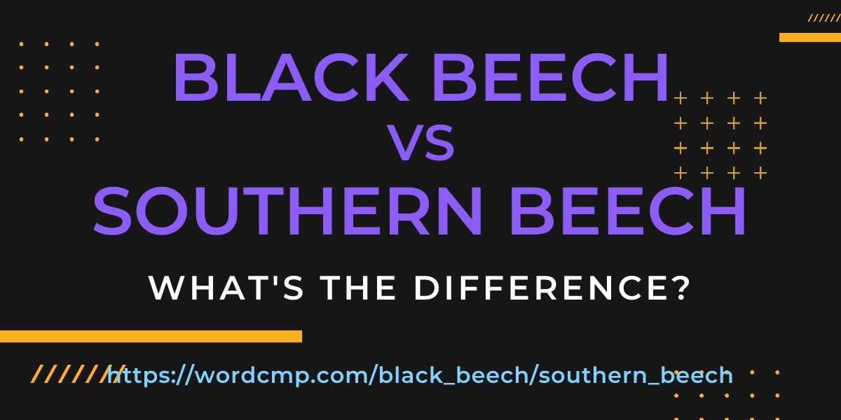 Difference between black beech and southern beech