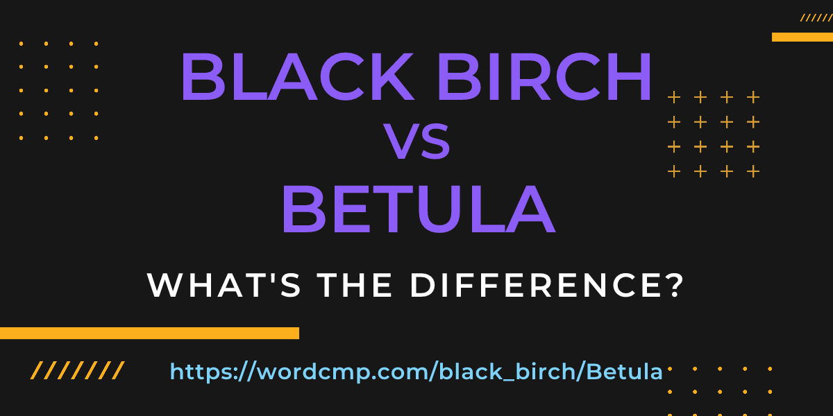 Difference between black birch and Betula