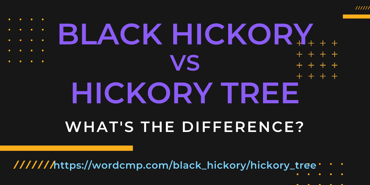 Difference between black hickory and hickory tree