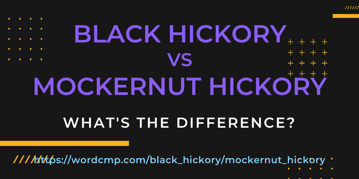 Difference between black hickory and mockernut hickory