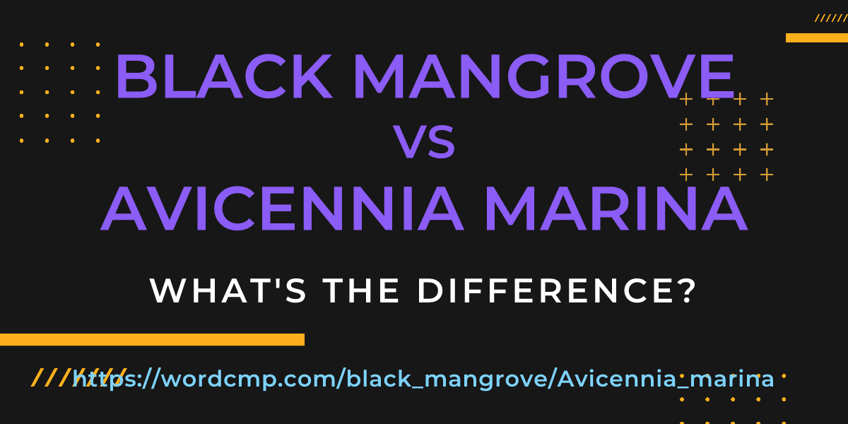 Difference between black mangrove and Avicennia marina
