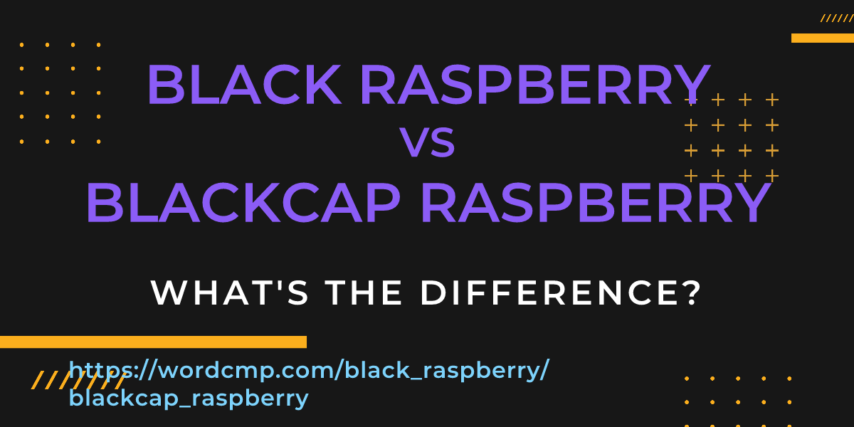 Difference between black raspberry and blackcap raspberry