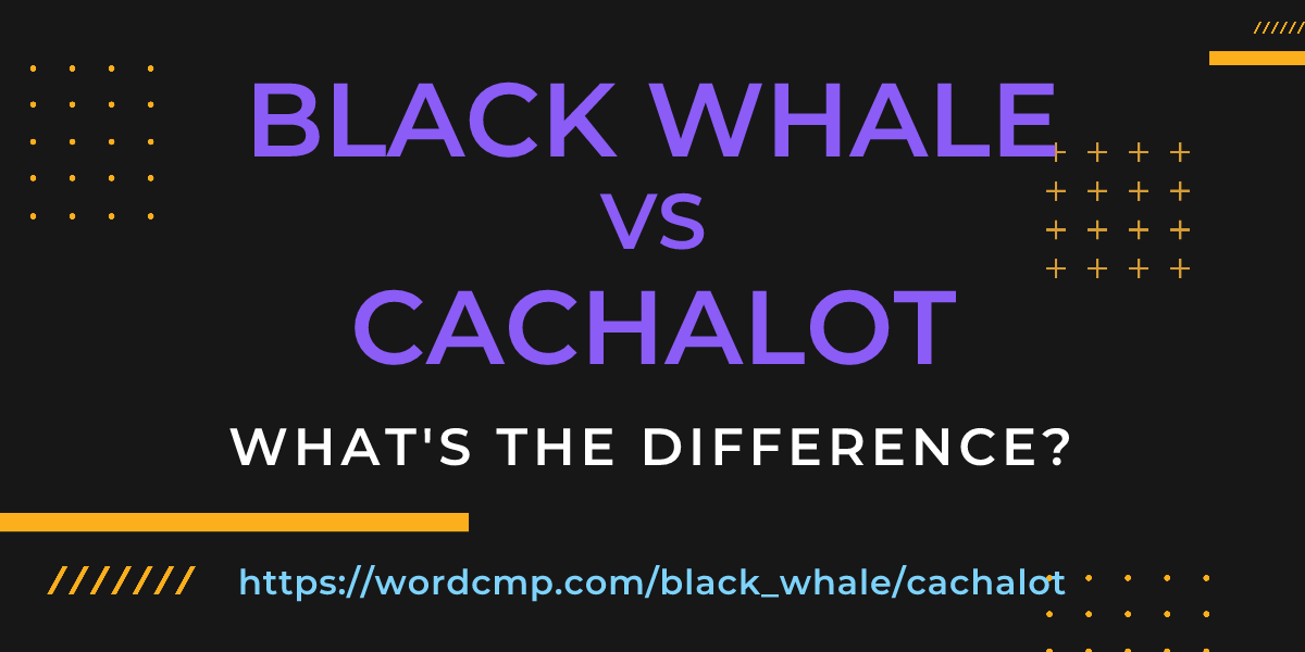 Difference between black whale and cachalot