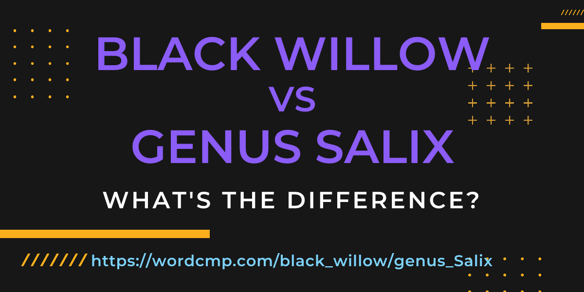 Difference between black willow and genus Salix