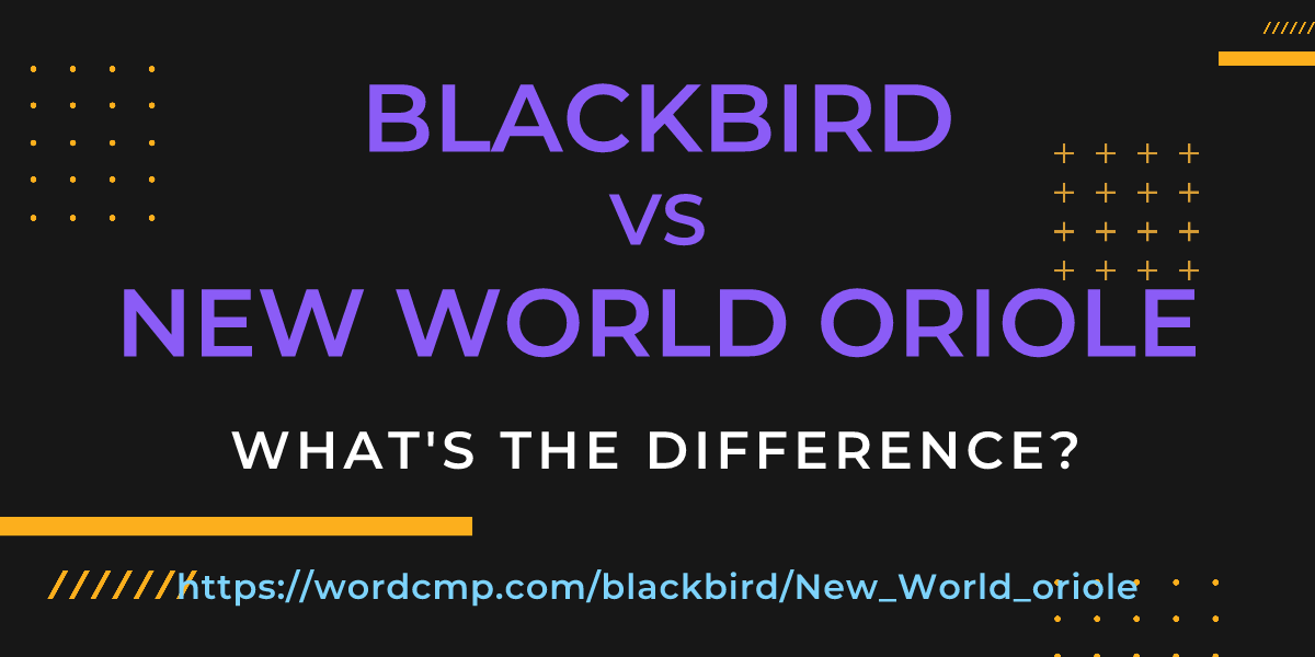Difference between blackbird and New World oriole